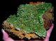 2.5LB Blanket of Green Barrel Daoping Pyromorphite killer deal, must see BZ090