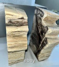 2 Petrified Wood Book Ends Rough Edge Beige White Black Grey Beautiful Must See