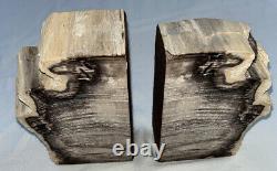 2 Petrified Wood Book Ends Rough Edge Beige White Black Grey Beautiful Must See