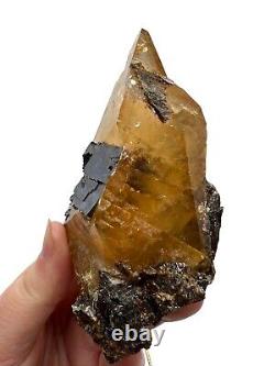 A MUST SEE Golden Calcite WithGalena On Sphalerite Elmwood Mine Mineral Specimen