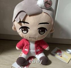 A Must-See For Bts Fans Tinytan Sitting Plush Toy