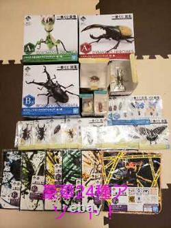 A must see Ichiban lottery insect luxury 24 piece assortment set Ni