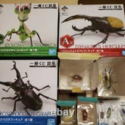 A must see Ichiban lottery insect luxury 24 piece assortment set Ni