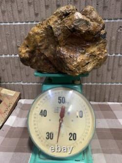 A must see Large Silicified wood Beauty Wood Fossils Wood Origin Unknown Hea