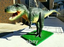 A must see Super Rare premiere Tylannosaurus T Rex powerful Super large
