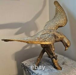 Antique Large Brass Eagle / Hawk c1920s MUST SEE