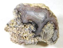 Awesome Face Polished Mulligan Peak Fortification Agate Specimen! Must See