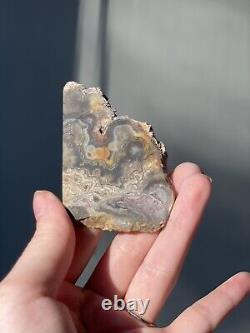 Beautiful Face Polished Fortification/tube Agate Slabs! Must See Pieces