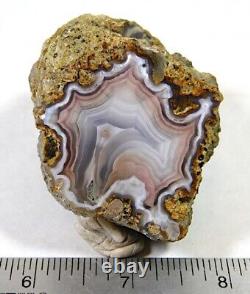 Beautiful Face Polished Parallax Fortification Agate Specimen! Must See