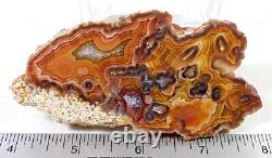 Gorgeous Face Polished Multicolor Multi-inclusion Agate Specimen! Must See