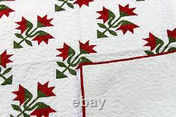 Hand Applique Carolina Lily FINISHED QUILT Queen, Elegant Must See Design