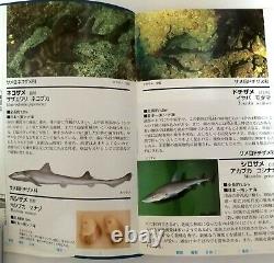 Japanese saltwater fish detailed illustration, a must-see for anglers, 2004 3rd