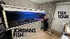 Jordans Fish Visiting Jordans Insane Bichir Collection And Much More Must See