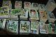 Large 1972-73 Topps Baseball Card Collection! Clemente, Ruth, Fisk, Etc! Must See