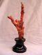 Magnificent Natural Coral Tree 16.75 Tall From Australia'must See