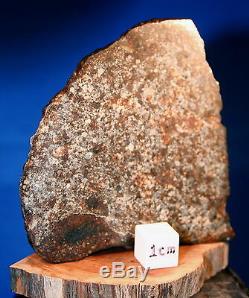 Meteorites Stony NWA 869 Polished slice 47gms LithoCraft Minerals a Must See