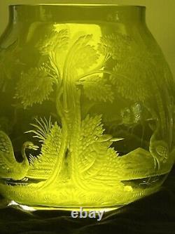 Must See! Brilliant Period Cut Glass Intaglio Vase Webb Moser Baccarat