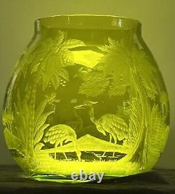 Must See! Brilliant Period Cut Glass Intaglio Vase Webb Moser Baccarat