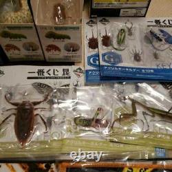 Must see The most lottery insect luxury 24 points assorted set fake