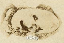ODD FREAK CHARACTER/DOG-What Is It CDV OF ART WORK. MUST SEE 1878