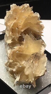 Rare Star Mica with Terminated Quartz Crystal! Old Brazil Find! Must-See