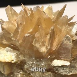 Rare Star Mica with Terminated Quartz Crystal! Old Brazil Find! Must-See