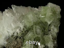 Rare Tabular Green Apophyllite on Scolecite from Nashik, India. Must see