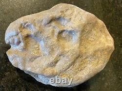 Real and Extremely Rare Dinosaur Head Rock Fossil Must See