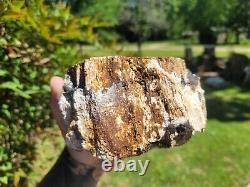 U. V. Reactive Palm Mcmullen County, Texas, Flat Polished Limb. Must See