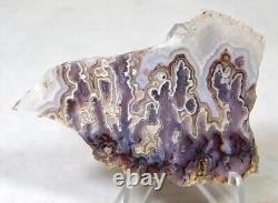 Very Rare Beautiful Face Polished Paisley Agate Collector Specimen! Must See