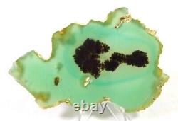 Very Rare & Beautiful Large Dendritic Fischer Stone Agate Slab! Must See