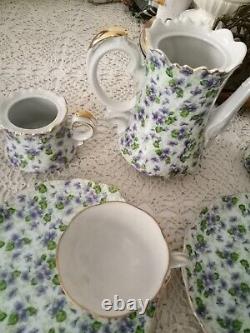 Vintage 21 Piece Collection Set Of Lefton Violet Chintz China Must See