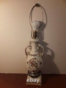 Vintage Victorian Porcelain roses Lamp Bisque Paint must see awesome