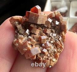 Wow! Lot of 37 Vanadinite Thumbnails from Morocco, Must see